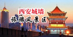 跳蛋还是鸡八中国陕西-西安城墙旅游风景区